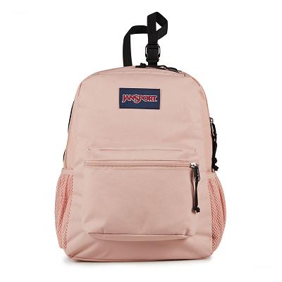 JanSport CENTRAL ADAPTIVE Laptop Rugzak Roze | NL_JS290