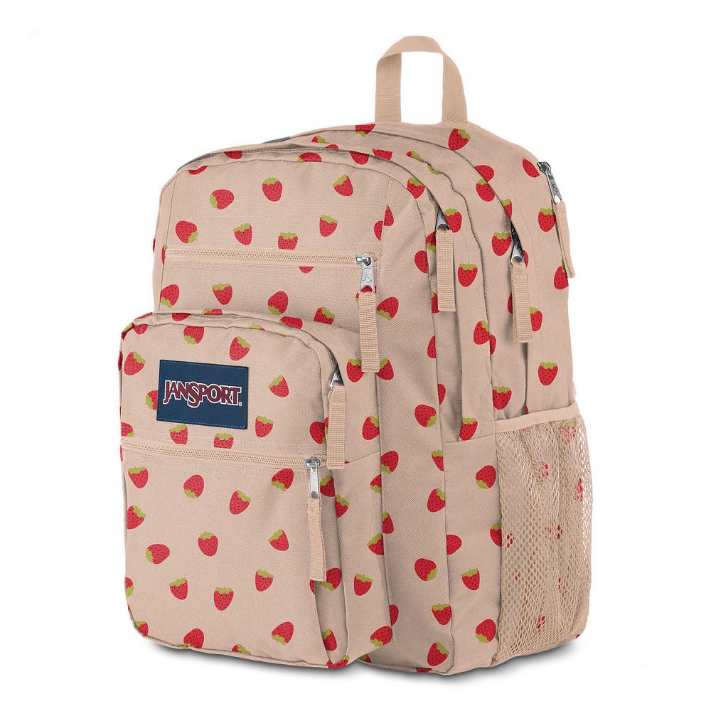 JanSport BIG STUDENT Laptop Rugzak Roze Rood | NL_JS361