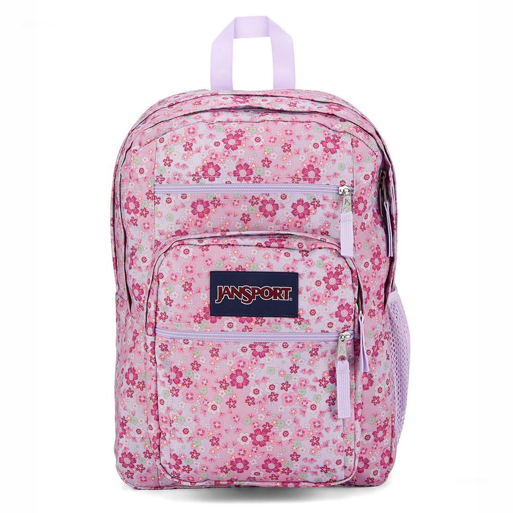 JanSport BIG STUDENT Laptop Rugzak Roze | NL_JS572